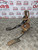 MAZDA MX5 BRAKE PEDAL MK1 MX-5 1.8 PETROL 1989 - 1998