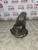 FORD STREETKA KA GEARSTICK GAITER CONVERTIBLE 2002 - 2005