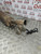 CITROEN C4 GRAND PICASSO MK2 DPF DIESEL PARTICULATE FILTER + SENSOR 1.6 BLUEHDI