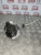 AUDI A3 S3 RS3 DOOR LOCK CATCH ACTUATOR S-LINE 3 DOOR DRIVERS RIGHT (2008 - 2012