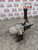 PEUGEOT 3008 MK1 POWER STEERING PUMP 1.6 E-HDI FACELIFT DV6C (2009 - 2016)