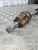 VAUXHALL CORSA E DRIVESHAFT 1.2 PETROL MANUAL 5 SPEED DRIVERS RIGHT OSF (15-19)