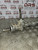 VAUXHALL CORSA E POWER STEERING RACK 1.2 PETROL B12XEL (2015 - 2019)