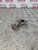 VAUXHALL CORSA E STEERING UJ KNUCKLE UNIVERSAL JOINT (2015 - 2019)