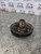 VAUXHALL CORSA E CRANKSHAFT PULLEY 1.2 PETROL B12XEL (722554909) 2015 - 2019