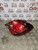 VAUXHALL CORSA E REAR LIGHT + BULB HOLDER 5 DOOR OUTER (13428448) DRIVERS OSR