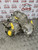 VAUXHALL CORSA E GEARBOX 5 SPEED MANUAL 1.2 PETROL B12XEL (WARRANTY) 71K (15 -19