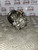 VW LUPO POWER STEERING PUMP + PULLEY 1.4 PETROL (BBY ENGINE) 1998 - 2005