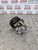 VW LUPO POWER STEERING PUMP + PULLEY 1.4 PETROL (BBY ENGINE) 1998 - 2005