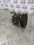 VW LUPO POWER STEERING PUMP + PULLEY 1.4 PETROL (BBY ENGINE) 1998 - 2005