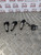 VW LUPO COIL PACKS SET OF FOUR COMPLETE 1.4 PETROL (BBY ENGINE) 2002