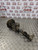 MERCEDES CLC FRONT SHOCK ABSORBER COIL SPRING 200 CDI DIESEL PASSENGER NSF 08-11