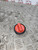 MERCEDES CLC COUPE DIESEL FUEL CAP CL203 W203 W209 W204 (2003 -2015)