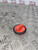 MERCEDES CLC COUPE DIESEL FUEL CAP CL203 W203 W209 W204 (2003 -2015)
