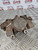 MERCEDES CLC BRAKE CALIPER + CARRIER 200 CDI PASSENGER REAR LEFT NSR CL203 2009