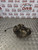 MERCEDES CLC REAR HUB KNUCKLE + ABS SENSOR CL203 2.1 DIESEL PASSENGER NSR 08-11