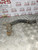 CITROEN C2 VTR VTS COOLANT HOSE WATER PIPE 1.6 PETROL UPPER TOP (2004)