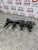 CITROEN C2 VTR IGNITION COIL PACK 1.6 PETROL (2003 - 2009)