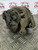 VAUXHALL CORSA D ALTERNATOR 1.2 PETROL 2012