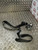 FIAT GRANDE PUNTO SEAT BELT PASSENGER N/S/F (2006 - 2012) MK3