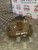 FORD FUSION PASSENGER FRONT CALIPER (N/S/F) AUTOMATIC 1.6 ZETEC (2006 - 2010)