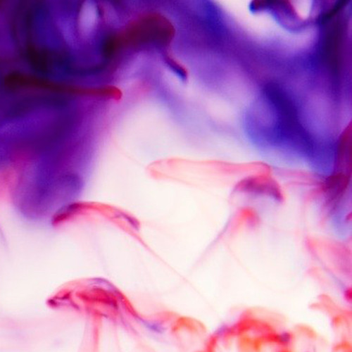 King Lee Protec™ RO C Antifoulant, Powder, 55 lb