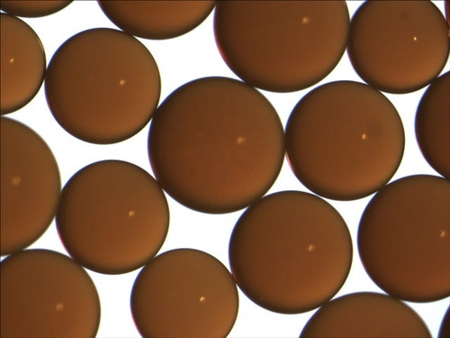 AmberLite FPC22 H Ion Exchange Resin