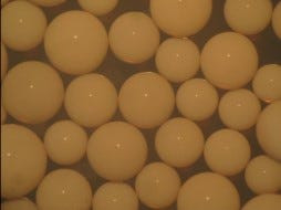 AmberLite IRC200 Na Ion Exchange Resin