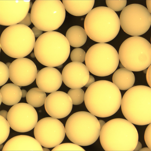 DuPont AmberLite XAD1180N Ion Exchange Resin