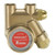 Procon 111B025F112A Brass NSF Rotary Vane Water Pump, 25 GPH, 151 to 250 PSI Relief Valve