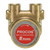 Procon 104C240F11XX Brass Rotary Vane Water Pump, 240 GPH, no pressure setting
