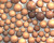 AmberLite FPA66 Ion Exchange Resin