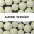 AmberLite PWA15 Ion Exchange Resin