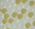 AmberTec MR-300 UPW H-OH Ion Exchange Resin