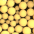 DuPont AmberLite XAD1600N Ion Exchange Resin