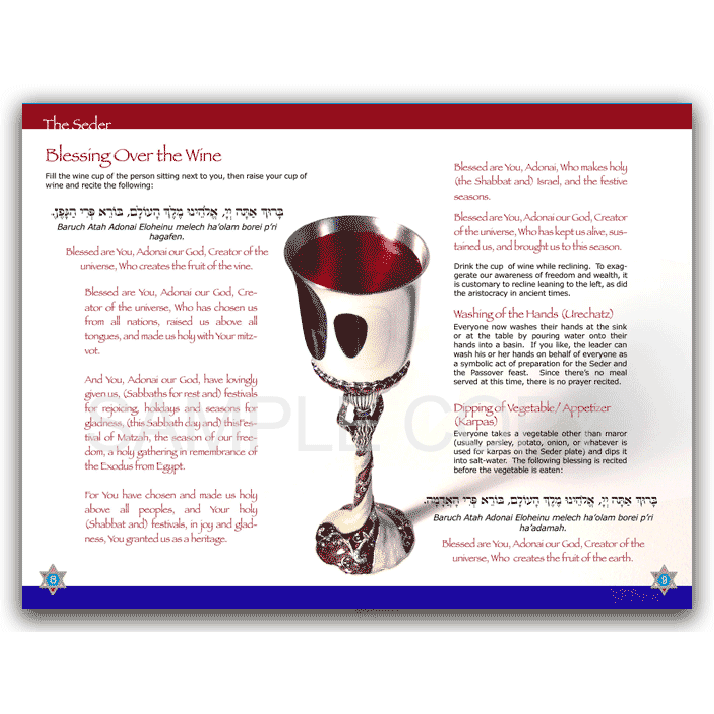 Passover Haggadah The 30 Minute Seder