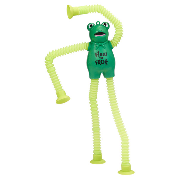Passover Flexi The Frog Pop Tube Toy