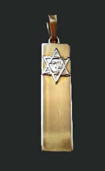 Mezuzah Charm With Star Of David