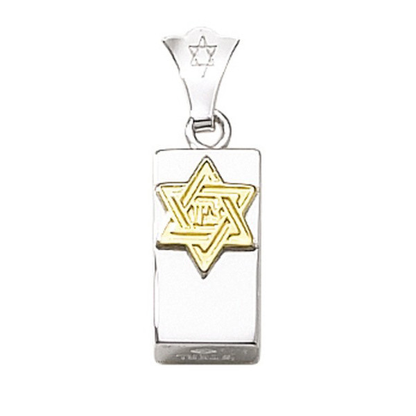 Two Tone Mezuzah Pendant