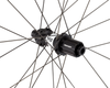 Alpinist SLX Disc Wheel - 2024-Alpinist-SLX-Disc01-6-The-BikeShop-Aug09.png