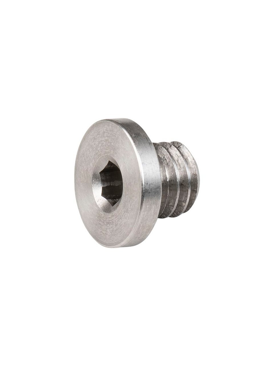 Trek Derailleur Hanger Button Head Bolt The Bike Shop