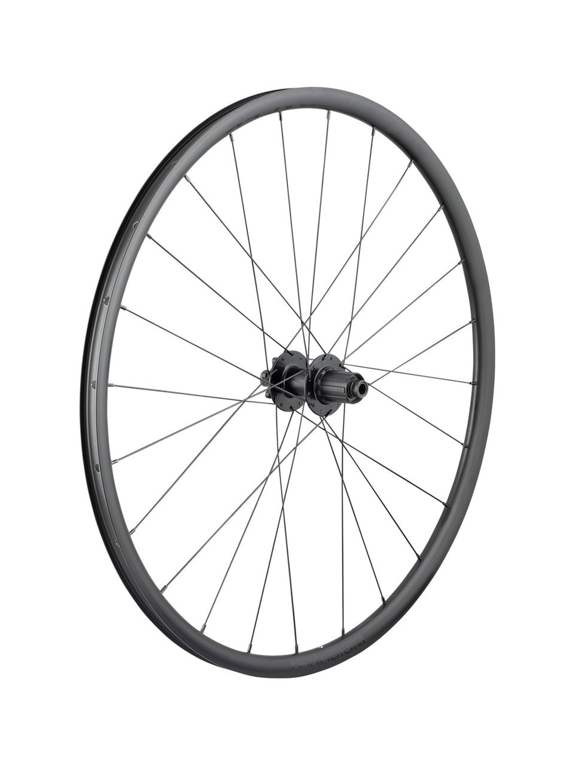 Paradigm SL 6-Bolt Disc 24H 700c Road Wheel - Bontrager-Paradigm-SL-6Bolt-Disc-24H-700c-Road-Wheel_Variant-1_The-BikeShop_2024-07-09T15:15:25.309Z.jpeg
