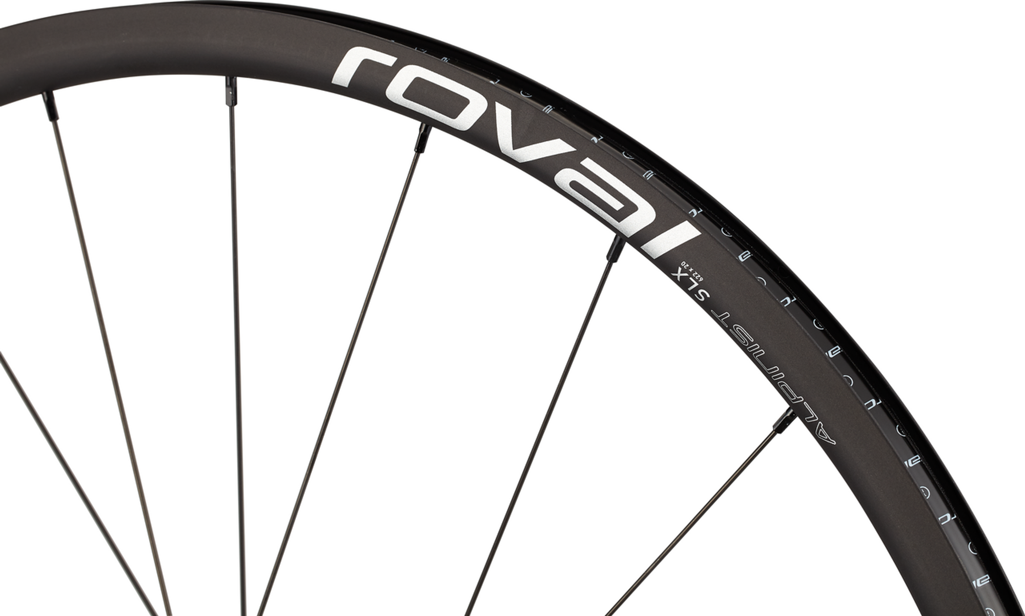 Alpinist SLX Disc Wheel - 2024-Alpinist-SLX-Disc01-2-The-BikeShop-Aug09.png