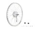 Townie Go! 7D 26" Wheel - 35mm Wide Rim - Wheel-Rear-Electra-Townie-Go-7D-Step-Thru-26-Silver-V1-The-BikeShop-Jul30.jpeg