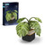Perler 3D Monstera Plant Fused Bead Kit