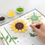 Perler 3D Wildflower Bouquet Fused Bead Kit