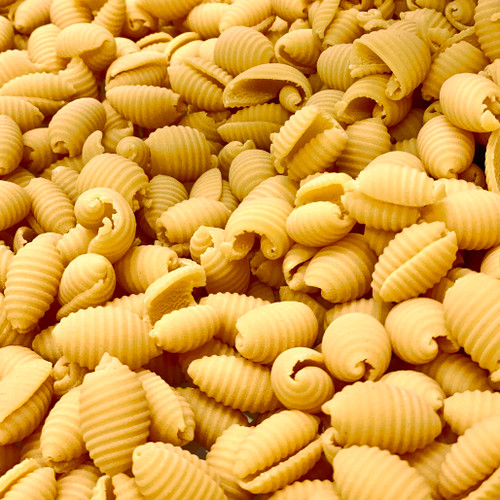 Fresh frozen cavatelli