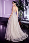 Stunning Platinum Silver A-Line Embellished Tulle Dress