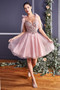 Fairy Tale A-line Short Tulle Dress
