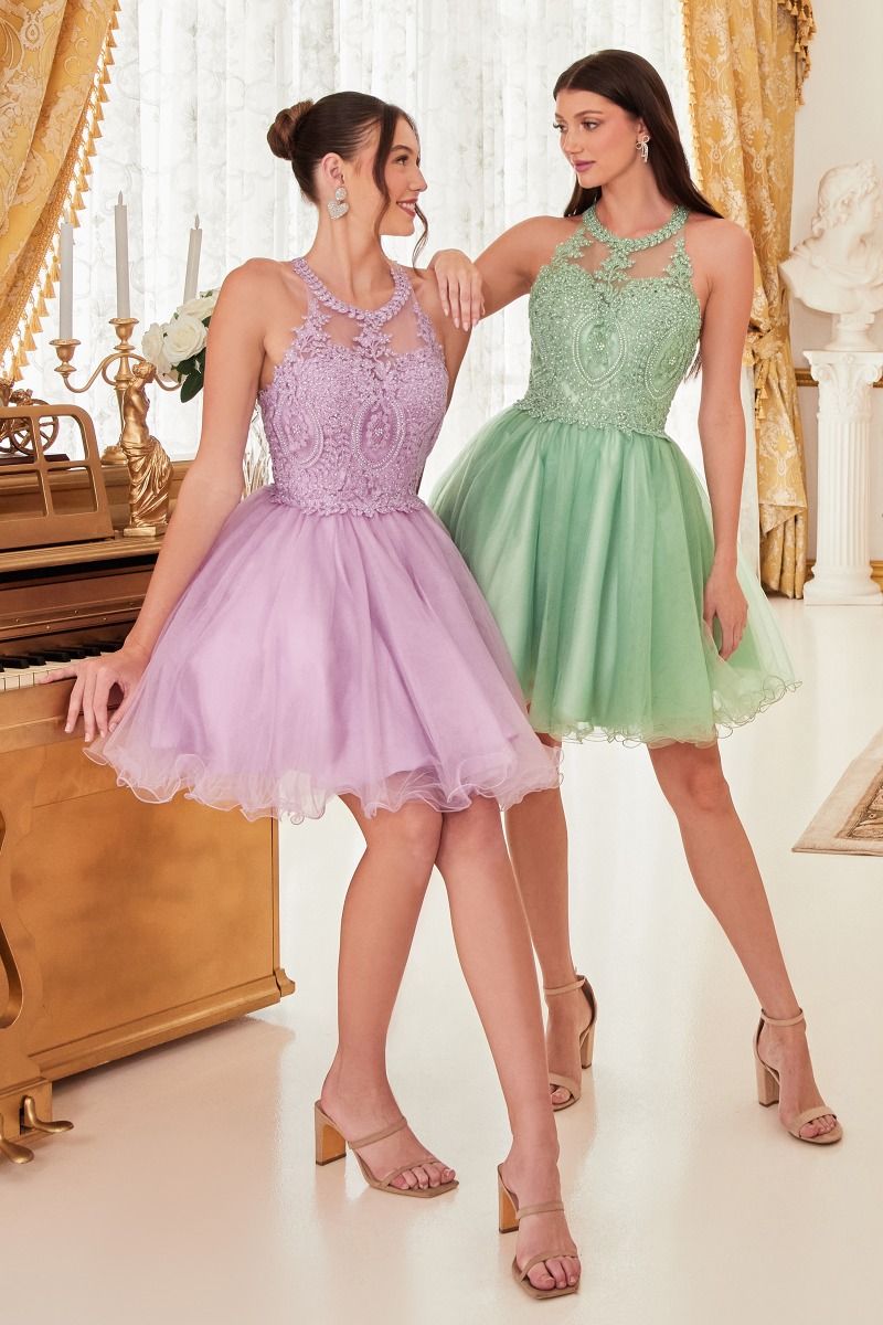Halter Beaded A-Line Tulle Short Dress